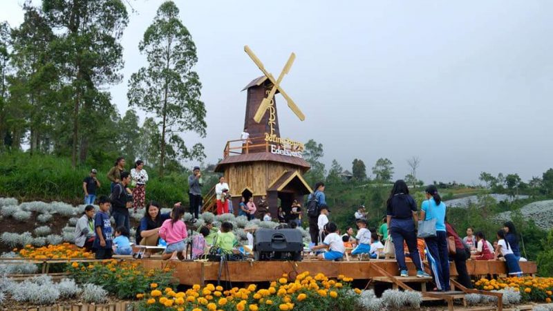 Taman Edelweis Bali di Karangasem - Berita Bali Terkini, Media Bali - Pena Bali