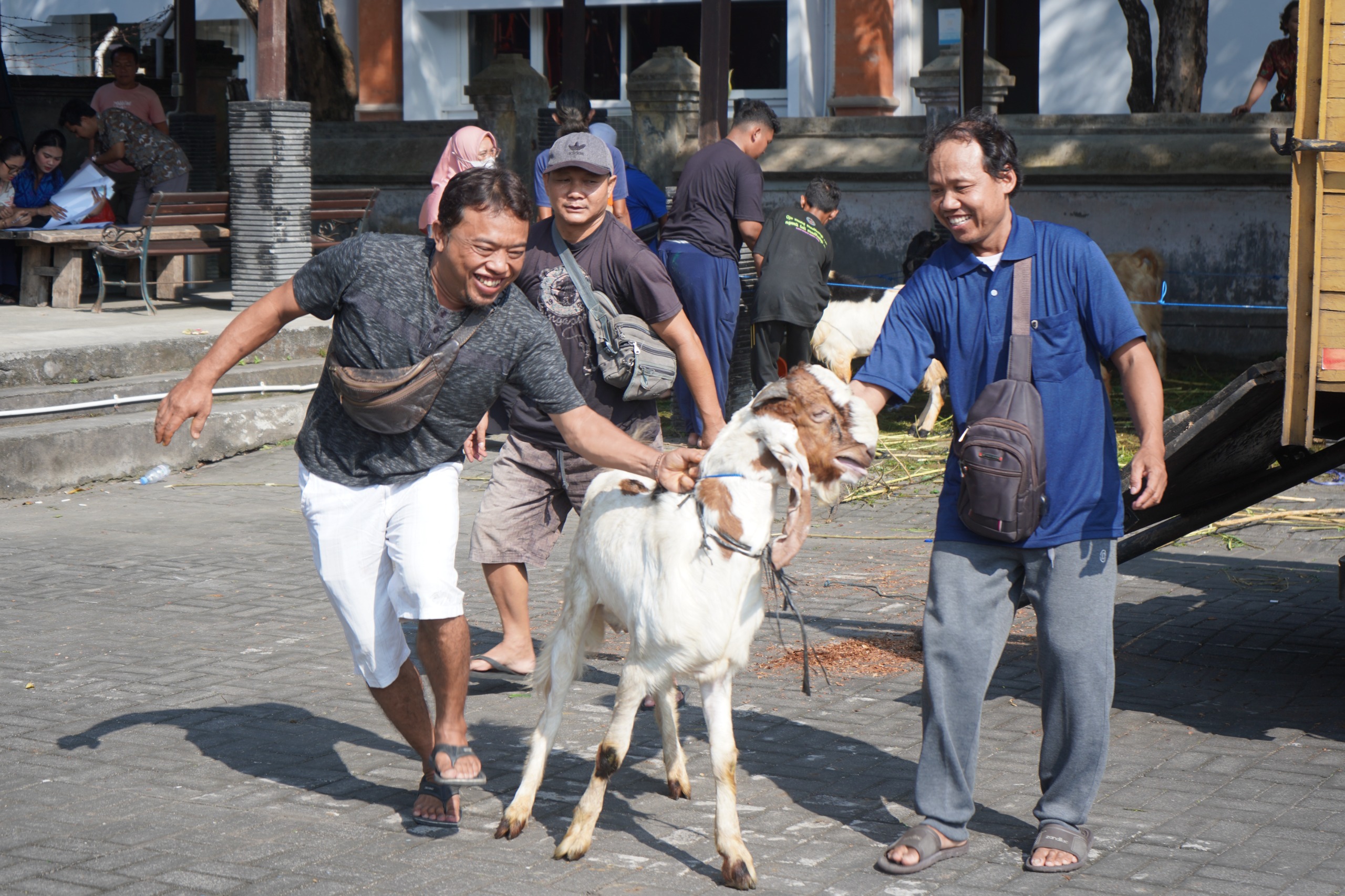 Pelindo Salurkan Qurban ke Masjid dan Masyarakat di Bali dalam Perayaan Idul Adha 1445H.