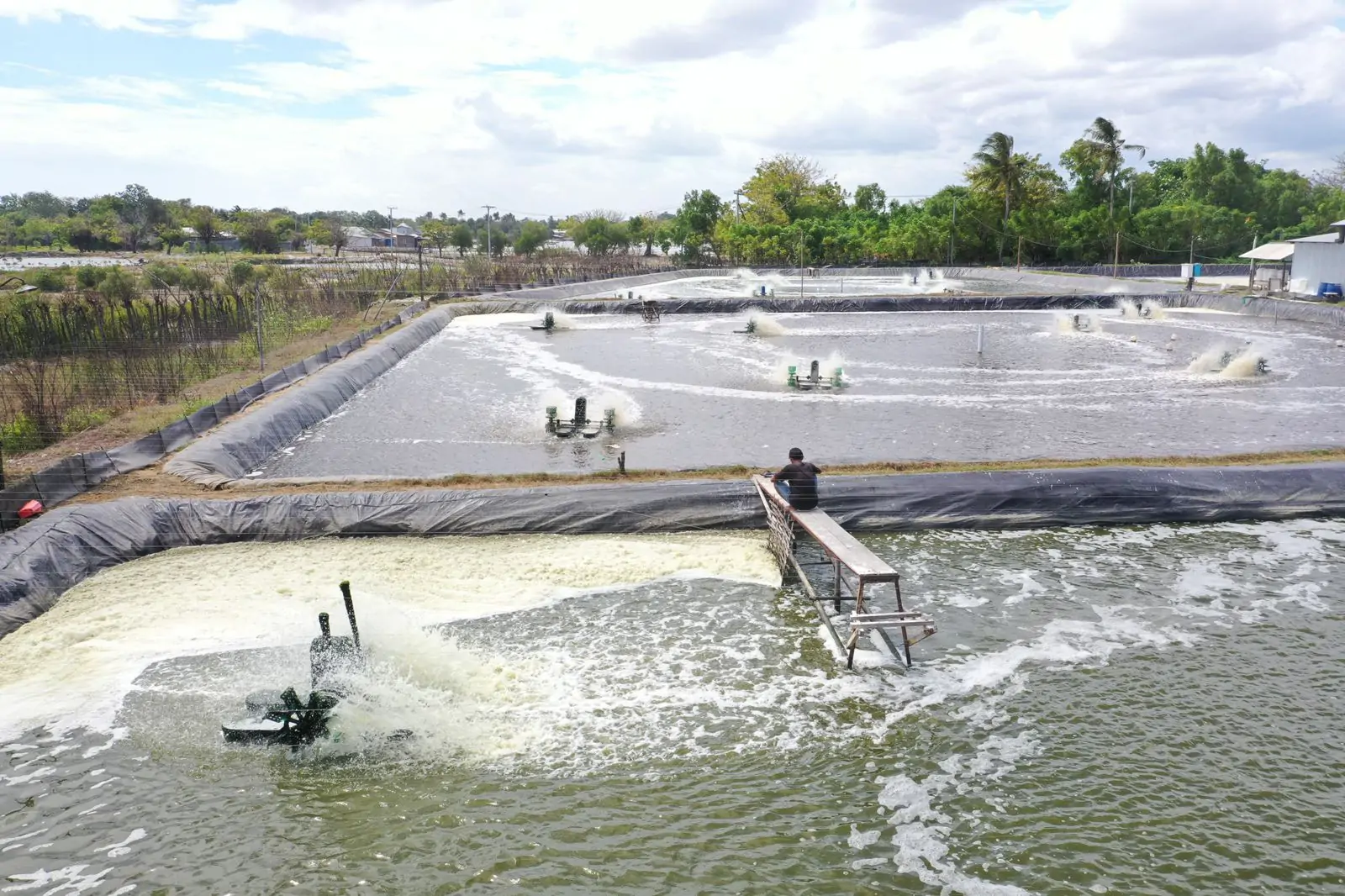 Tambak udang vaname di Desa Laikang, Kabupaten Takalar, Sulawesi Selatan, semenjak menggunakan listrik PLN dapat menghemat biaya operasional sebesar 28 persen dan meningkatkan produktivitasnya.