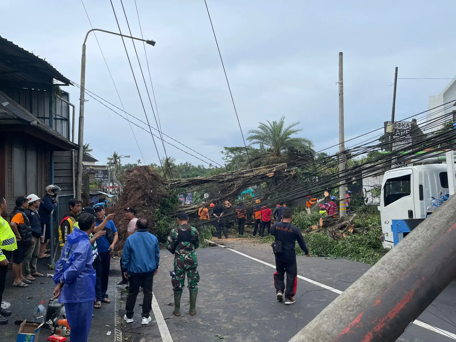 Bekerjasama dengan masyarakat dan aparat serta dinas terkait, petugas PLN bahu membahu mengevakuasi pohon yang roboh agar tiang listrik dan jaringan listrik yang tertimpa pohon dapat segera diperbaiki.