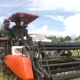 Panen Raya Padi di Sangsit, Bupati Sutjidra: Pertanian adalah Prioritas Utama Pembangunan Buleleng