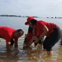 PDI Perjuangan Buleleng Tanam Mangrove dan Lepas Tukik di Pesisir Sumberkima