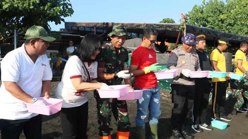 Wabup Supriatna Ajak Masyarakat Lestarikan Lingkungan, 200 Tukik Dilepasliarkan di Pantai Banjar